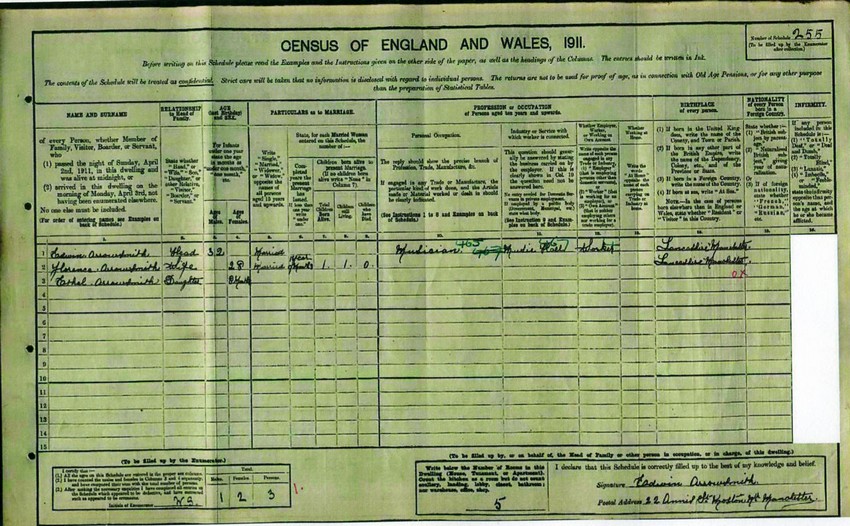 1911 census